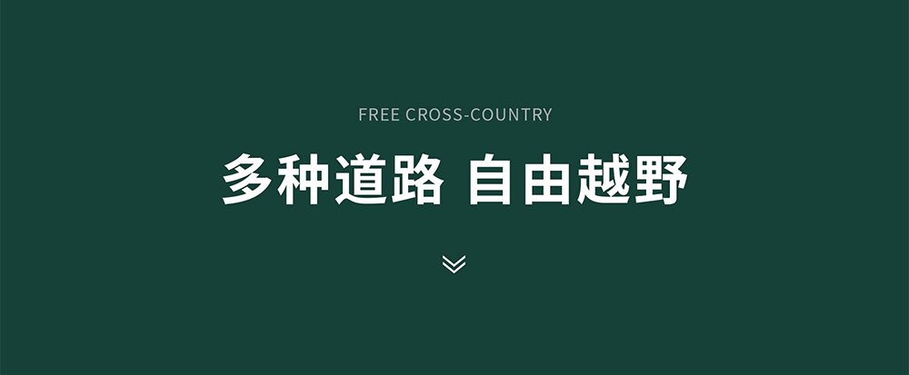 新途觀金冠版2.png